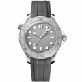 Diver style watch with gray dial, silver bezel, and gray rubber strap