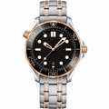 Two-Tone Diver Style Watch 42mm with black dial and metal bracelet product photo